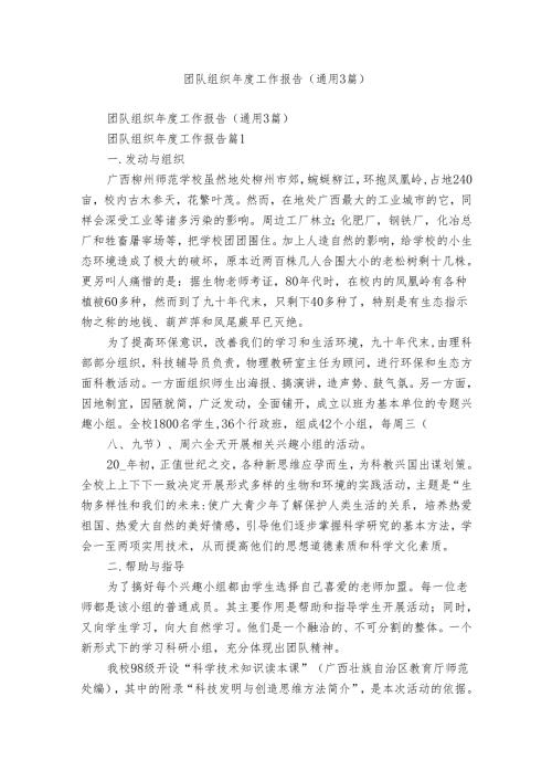 团队组织工作报告（通用3篇）.docx