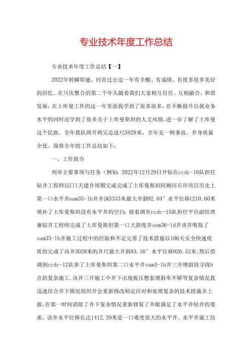 专业技术工作总结.docx