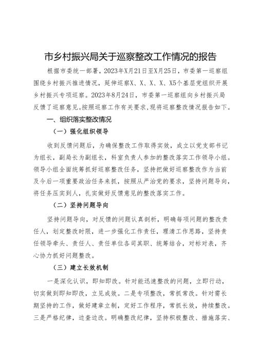 市乡村振兴局关于巡察整改工作情况的报告.docx