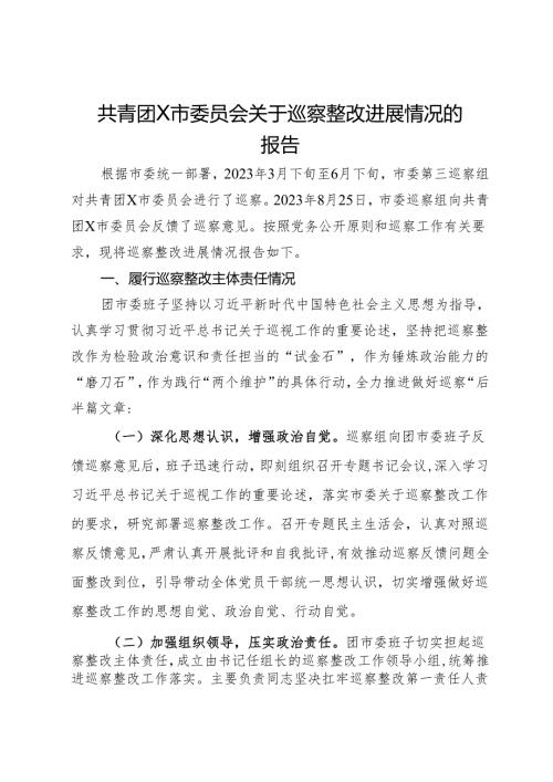 共青团X市委员会关于巡察整改进展情况的报告.docx