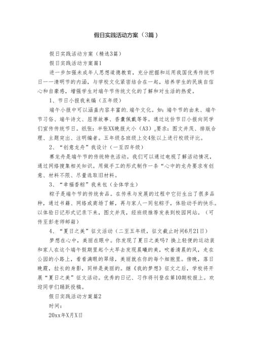 假日实践活动方案（3篇）.docx