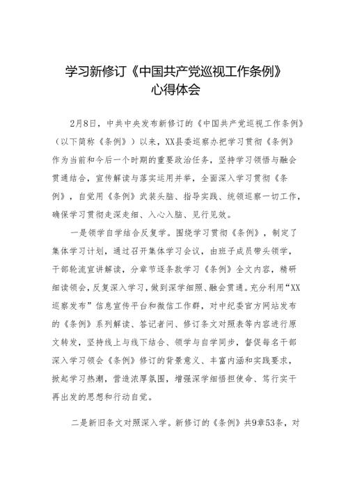 学习2024新修订中国共产党巡视工作条例心得体会8篇.docx