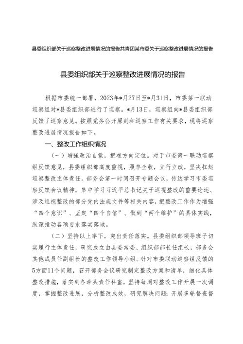 2篇 2024年县委组织部关于巡察整改进展情况的报告.docx