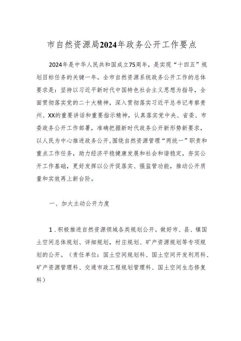 市自然资源局2024年政务公开工作要点.docx_第1页