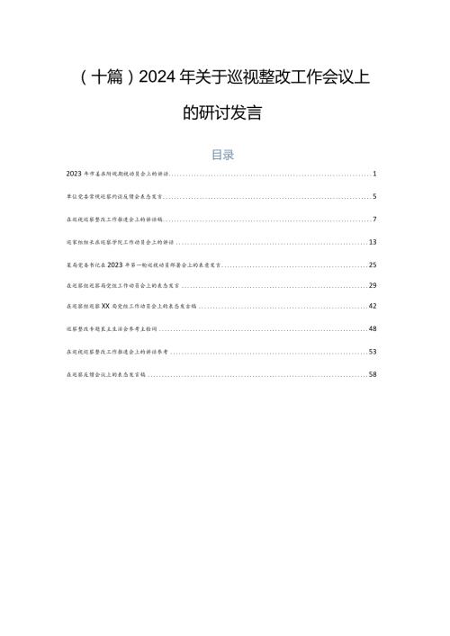 （十篇）2024年关于巡视整改工作会议上的研讨发言.docx