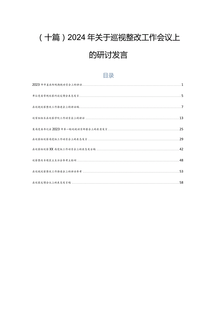 （十篇）2024年关于巡视整改工作会议上的研讨发言.docx_第1页