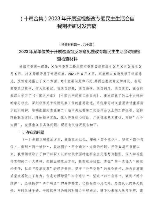 （十篇合集）2023年开展巡视整改专题民主生活会自我剖析研讨发言稿.docx