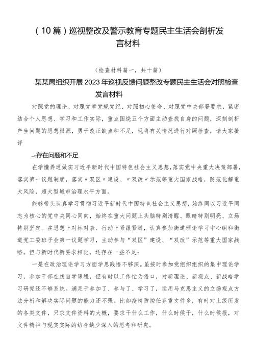 （10篇）巡视整改及警示教育专题民主生活会剖析发言材料.docx