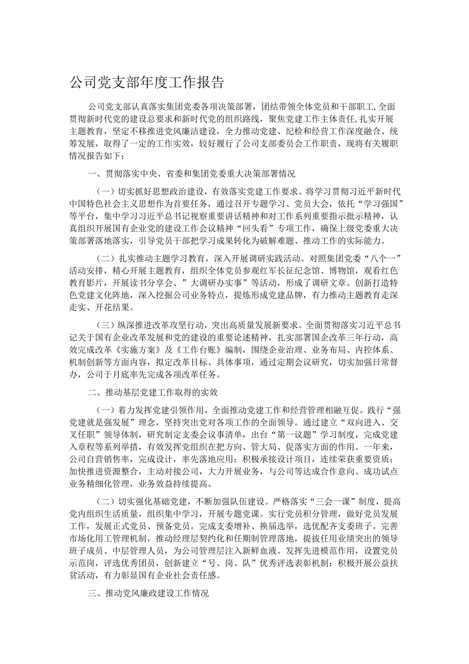 公司党支部工作报告.docx_第1页