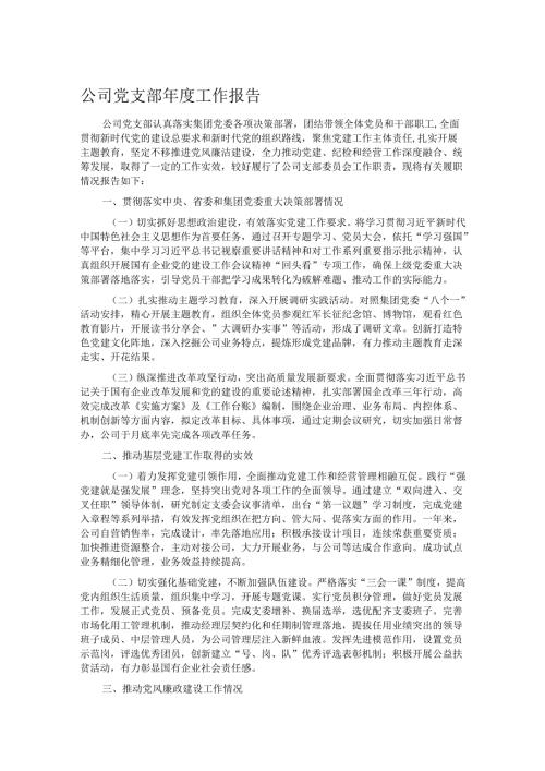 公司党支部工作报告.docx