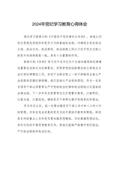 2024年党纪学习教育关于学习新修订版中国共产党纪律处分条例的心得体会发言材料8篇.docx