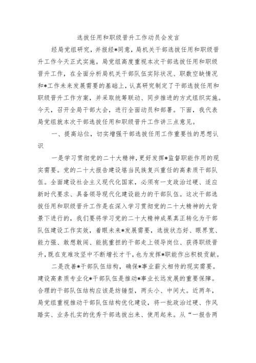 选拔任用和职级晋升工作动员会发言.docx