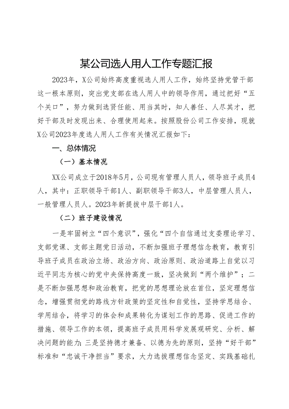 某公司选人用人工作专题汇报.docx_第1页