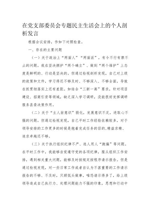 在党支部委员会专题民主生活会上的个人剖析发言.docx