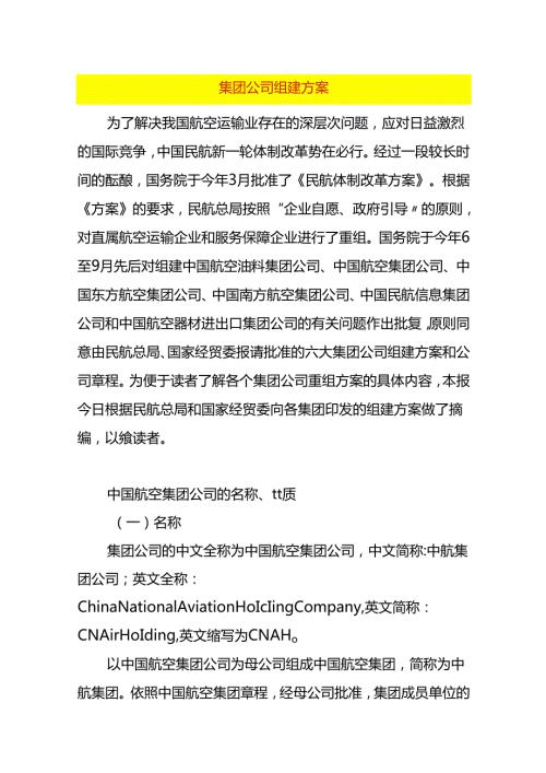 集团公司组建方案模板.docx