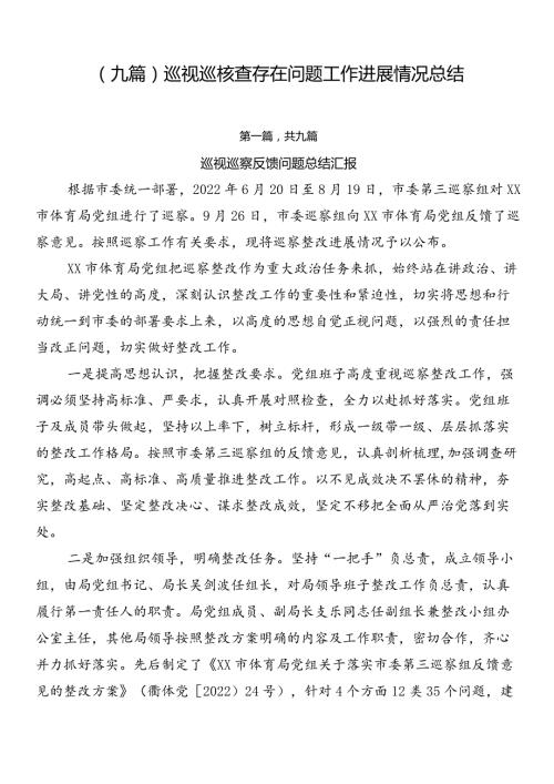 （九篇）巡视巡核查存在问题工作进展情况总结.docx