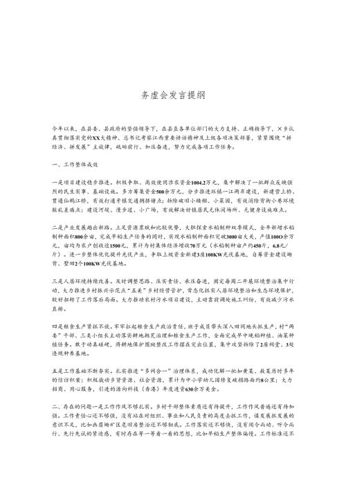 务虚会发言提纲.docx