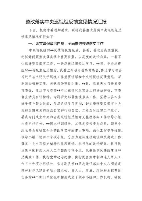 整改落实中央巡视组反馈意见情况汇报.docx