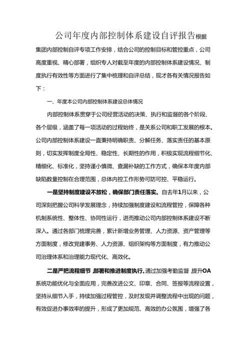 公司内部控制体系建设自评报告.docx
