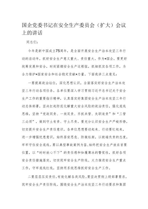 国企党委书记在安全生产委员会（扩大）会议上的讲话.docx