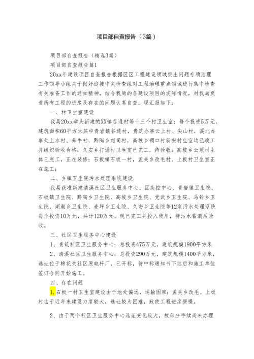 项目部自查报告（3篇）.docx