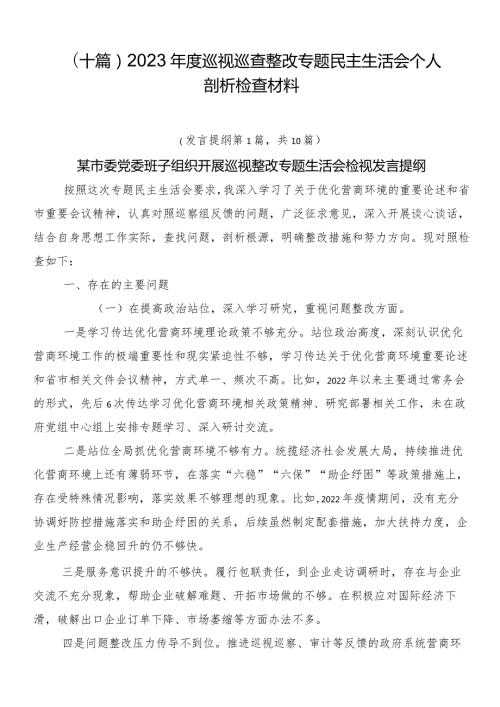 （十篇）2023巡视巡查整改专题民主生活会个人剖析检查材料.docx