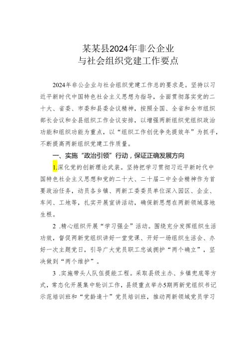某某县2024年非公企业与社会组织党建工作要点.docx