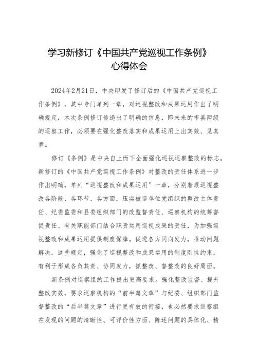 学习2024版新修订《中国共产党巡视工作条例》心得体会八篇.docx