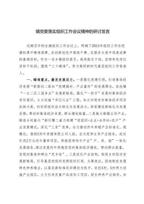 3篇2024年镇党委落实组织工作会议精神的研讨发言.docx