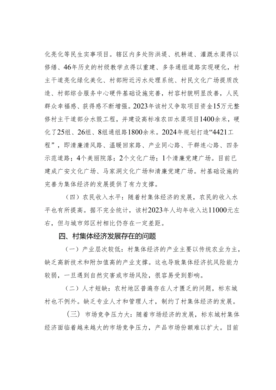 某某县水东镇标东垅村新型村集体经济调研报告.docx_第3页