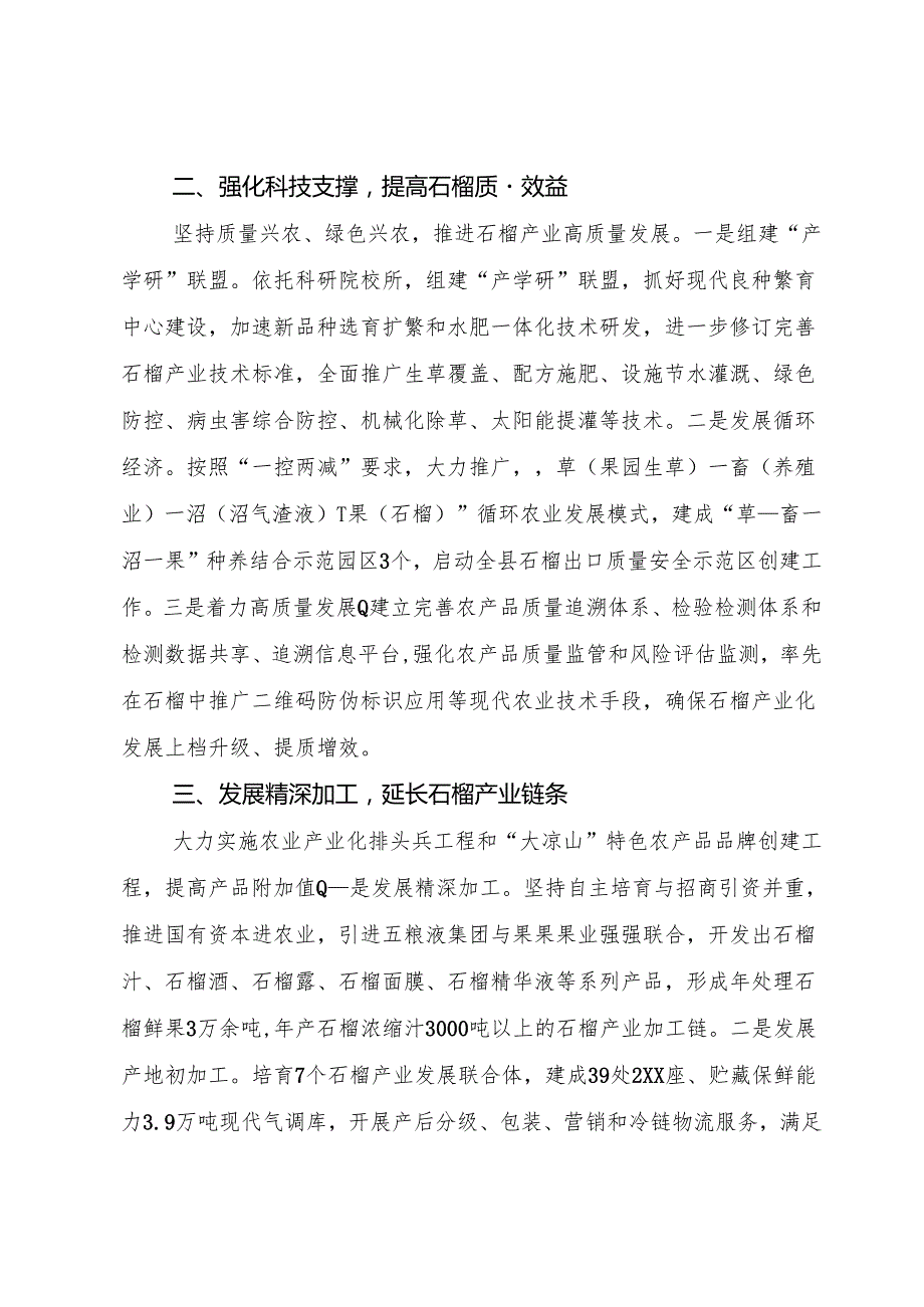 着力园区建设 推进石榴产业高质量发展.docx_第2页