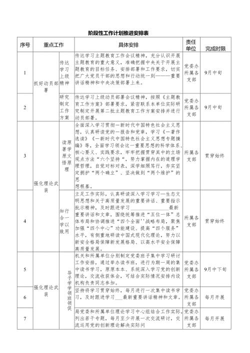 阶段性工作计划推进安排表.docx