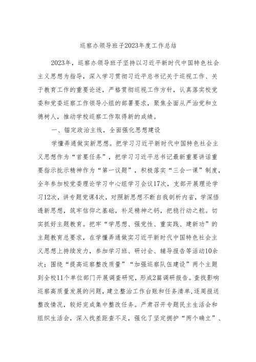 巡察办领导班子2023工作总结.docx
