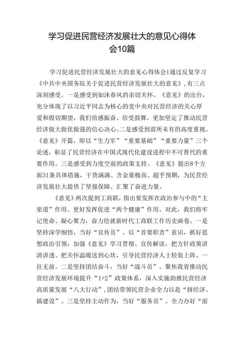 学习促进民营经济发展壮大的意见心得体会10篇.docx