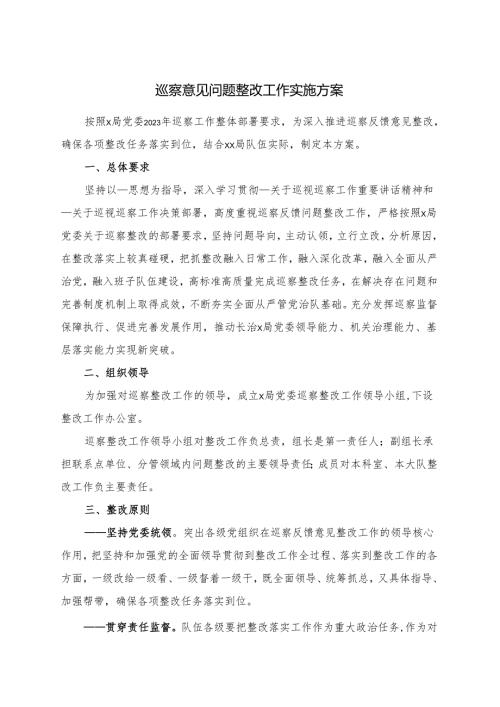 巡察意见问题整改工作实施方案.docx
