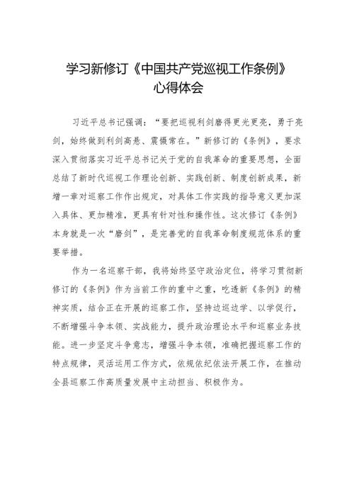 领导干部学习2024版新修订《中国共产党巡视工作条例》心得体会八篇.docx