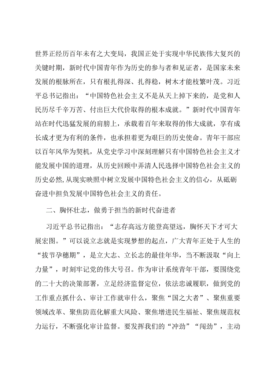 交流发言：以青之我 推动审计事业高质量发展.docx_第2页
