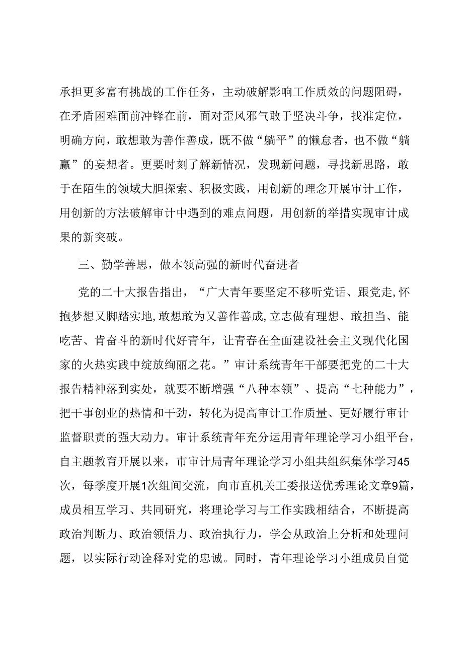 交流发言：以青之我 推动审计事业高质量发展.docx_第3页