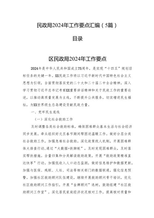民政局2024年工作要点汇编（5篇）.docx