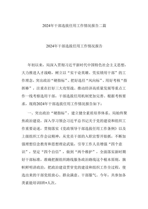 2024年干部选拔任用工作情况报告二篇.docx