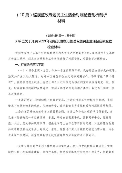 （10篇）巡视整改专题民主生活会对照检查剖析剖析材料.docx