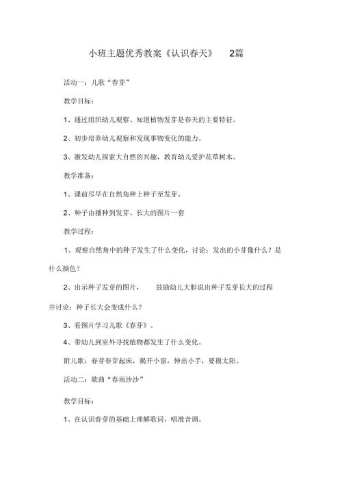 新年幼儿优秀天公开课教案.docx
