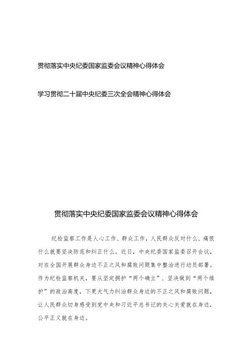 贯彻落实中央纪委国家监委会议精神心得体会和学习贯彻二十中央纪委三次全会精神心得体会.docx