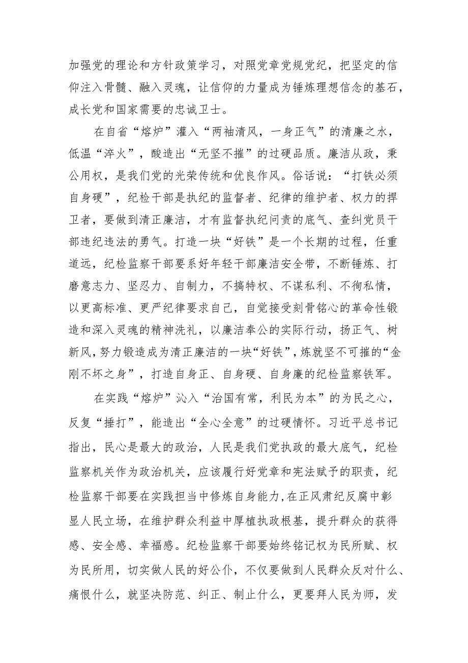 党纪学习教育搞清楚党的纪律规矩是什么弄明白能干什么、不能干什么专题研讨发言材料(精选10篇汇编).docx_第3页
