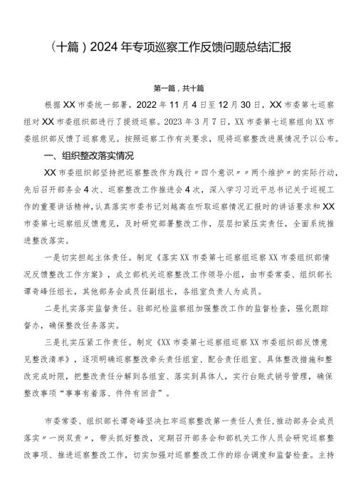 （十篇）2024年专项巡察工作反馈问题总结汇报.docx