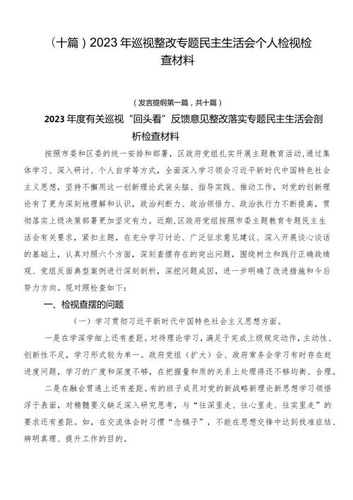 （十篇）2023年巡视整改专题民主生活会个人检视检查材料.docx