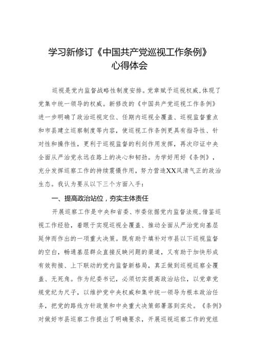 巡察干部学习2024版新修订《中国共产党巡视工作条例》心得体会四篇.docx