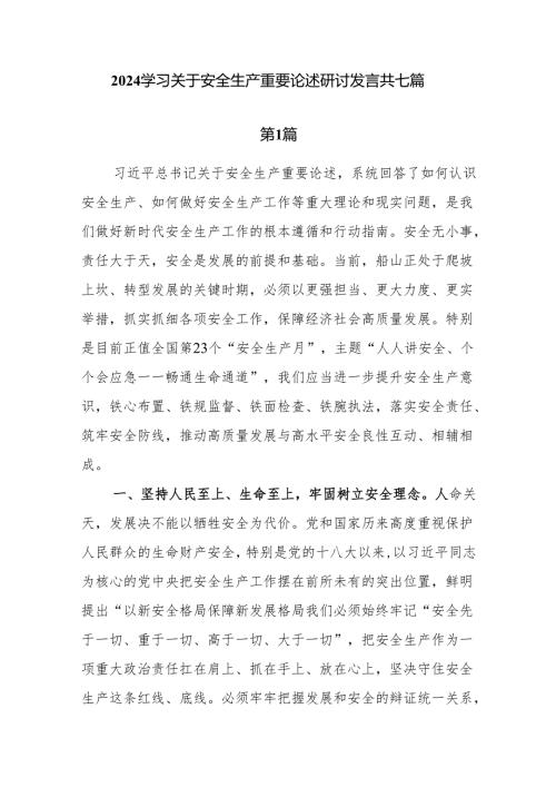 2024理论学习中心组学习关于安全生产重要论述研讨发言7篇.docx