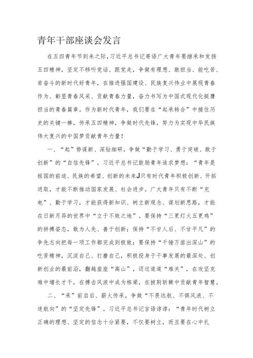 青年干部座谈会发言(2).docx