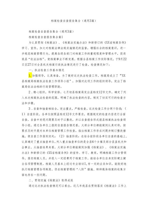 档案检查自查报告集合（通用3篇）.docx